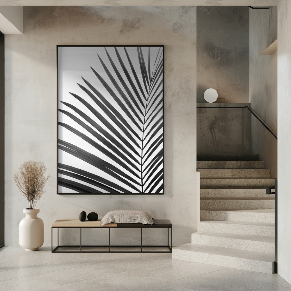 BW Palm Leaf | Poster