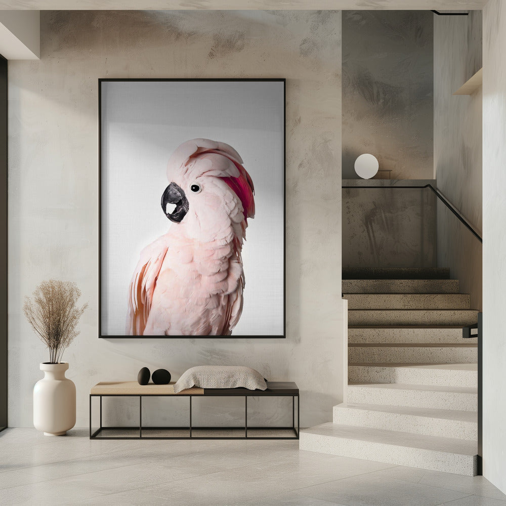 Pink Cockatoo | Poster