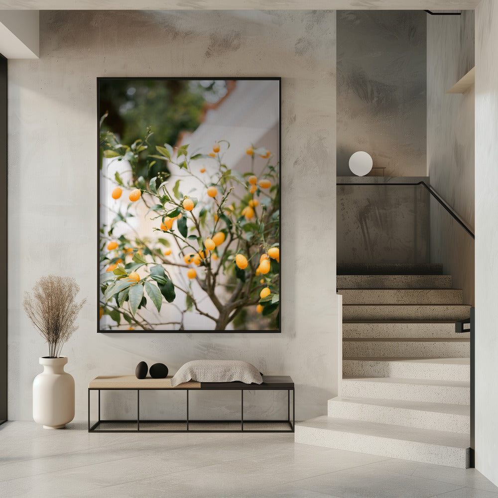 Orange Capri | Poster