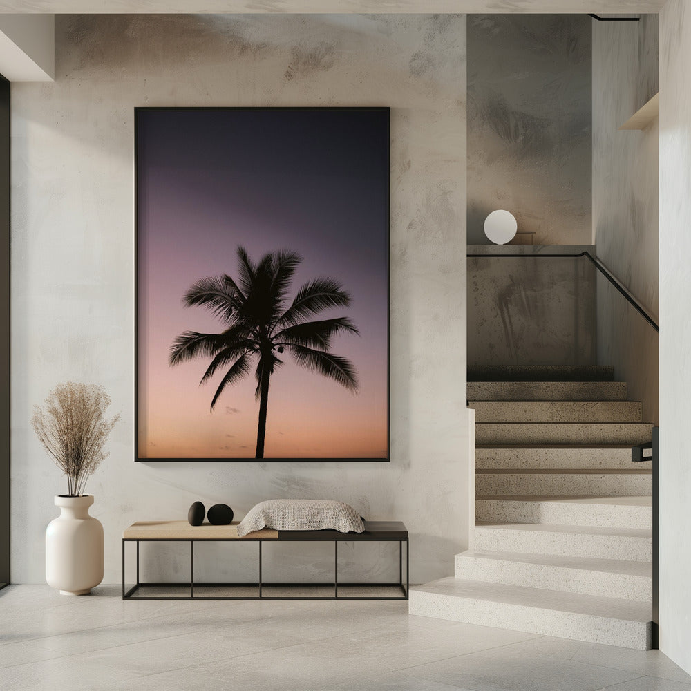 Costa Rica Palm Tree | Poster