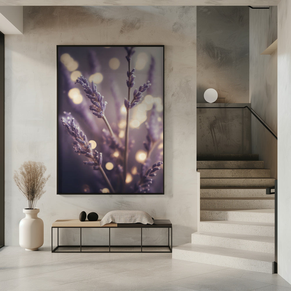 Lavender Dreams | Poster