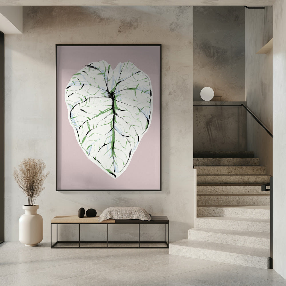 Alocasia Melo Light | Poster