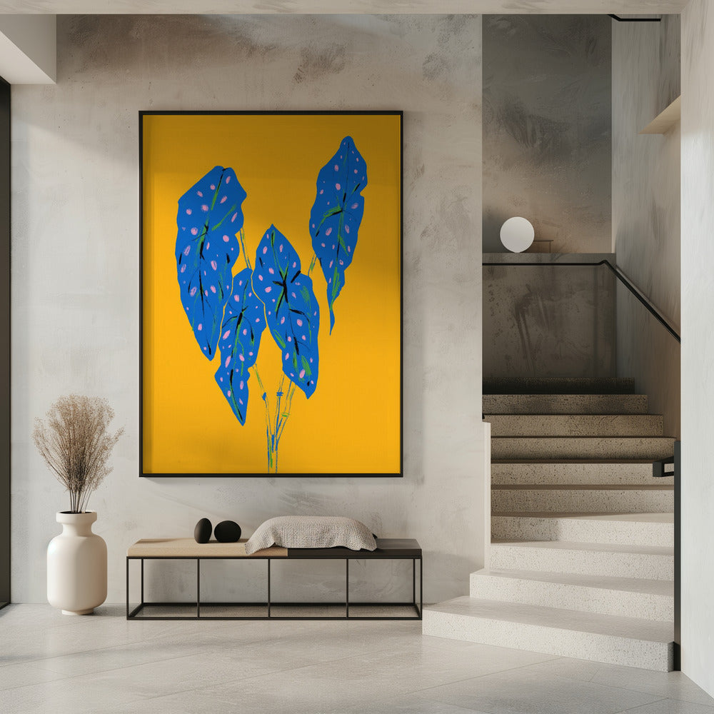 Begonia Maculata Blue and Yellow | Poster