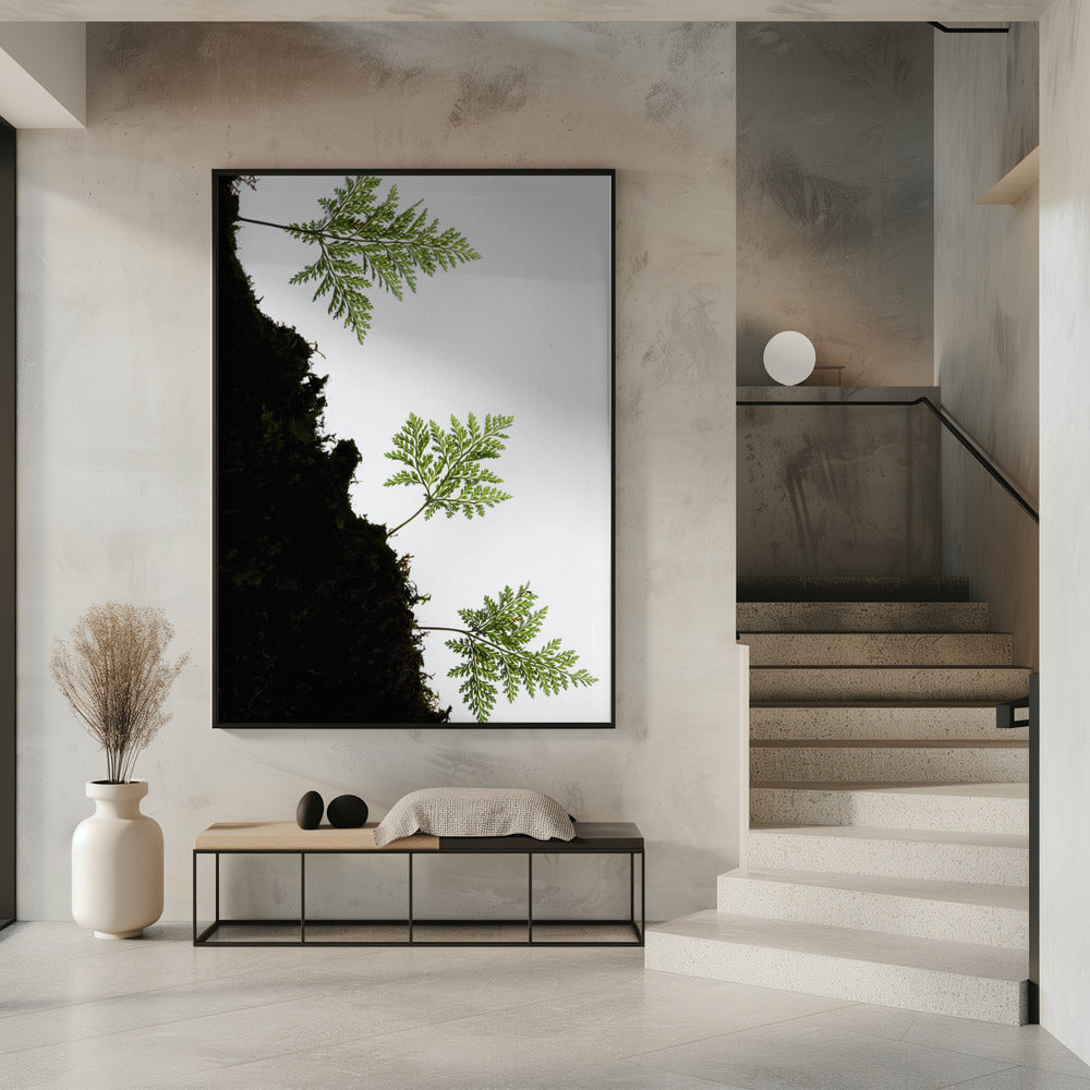 Fern Detail vertical | Poster