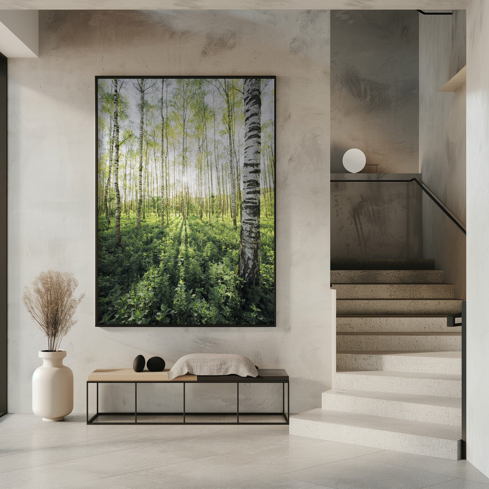 Birch Grove vertical | Poster