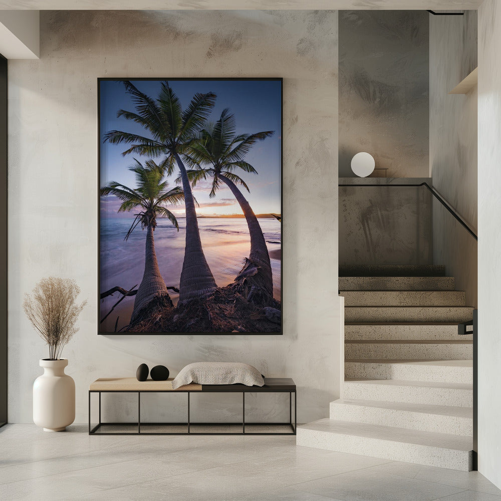 Palmy Twilight | Poster