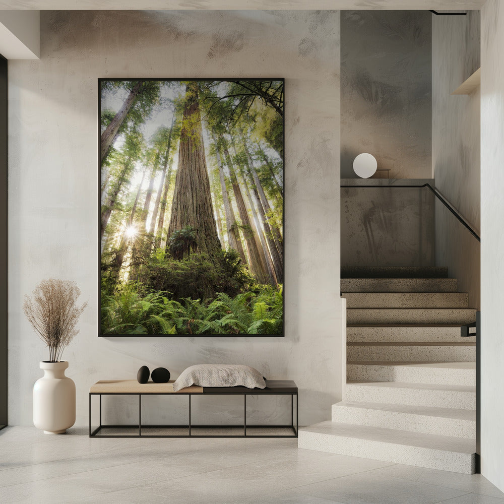 Beautiful Forest | Poster