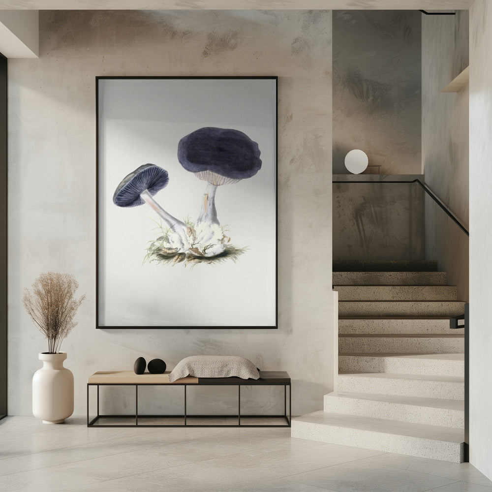 Vintage Violet Webcap Mushroom | Poster