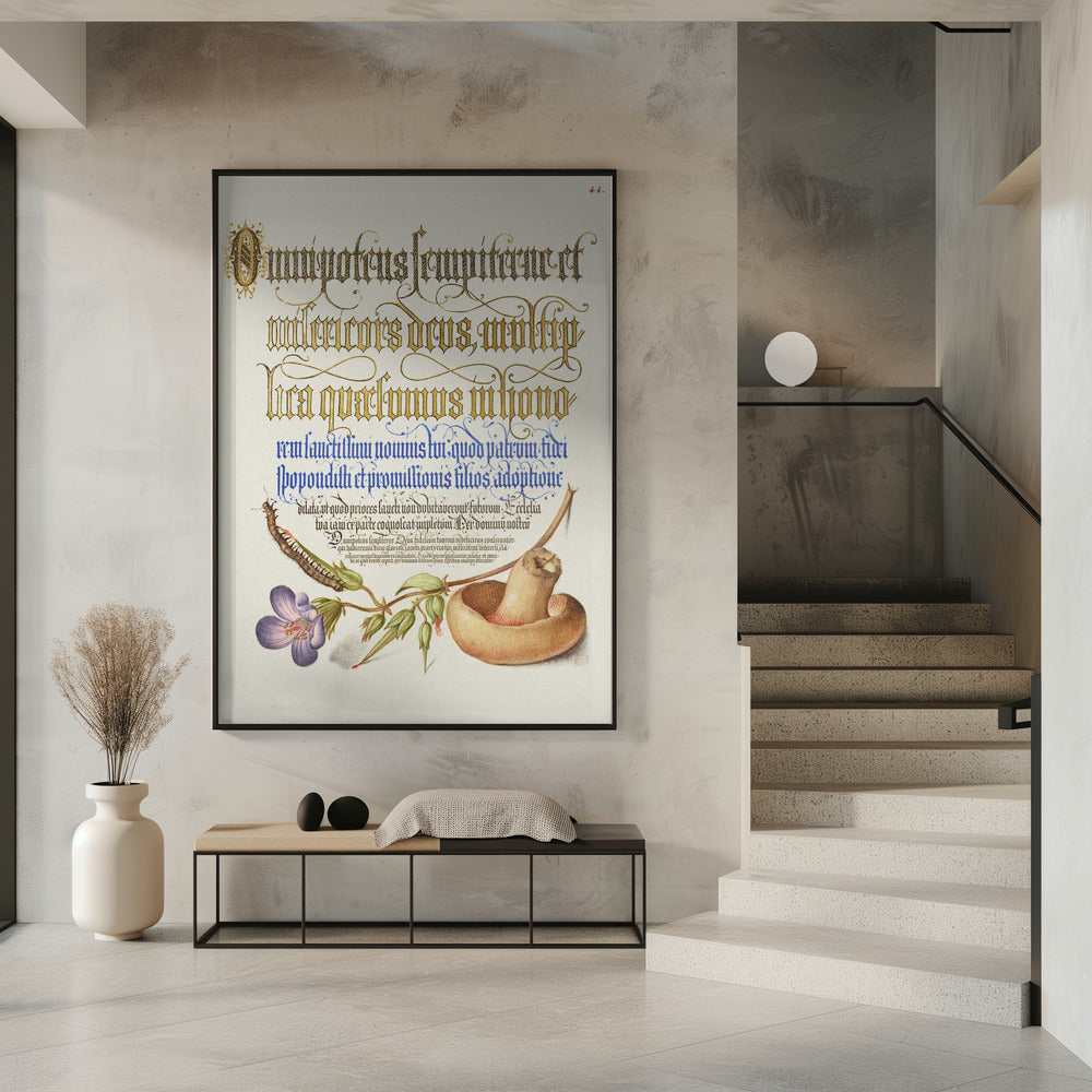 Mushroom Poster | Poster