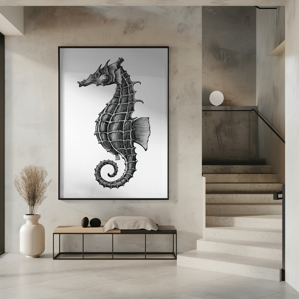 Seahorse | Poster