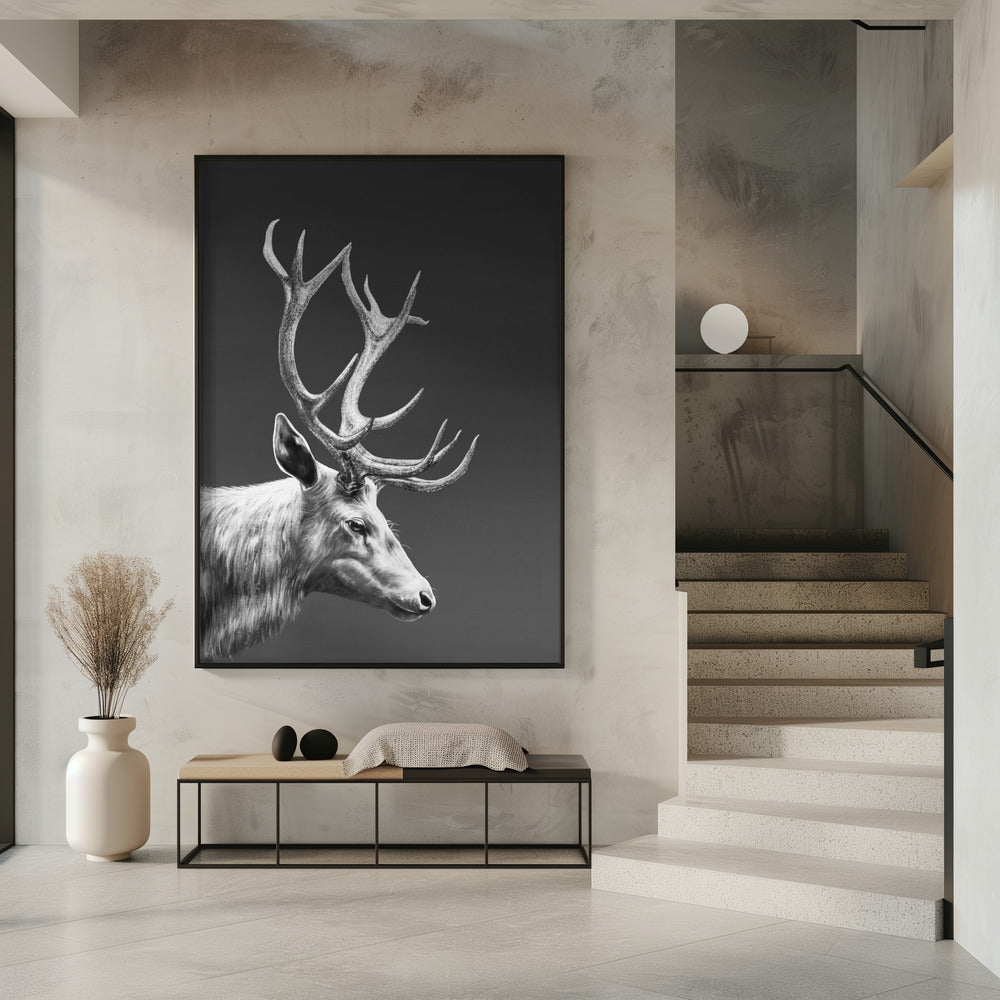 Reindeer | Poster