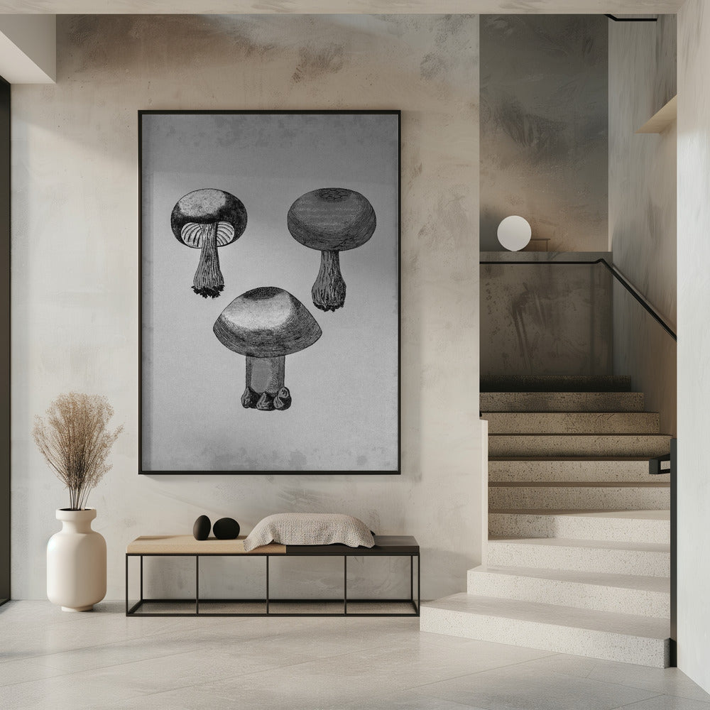 Violet Webcap Mushroom | Poster