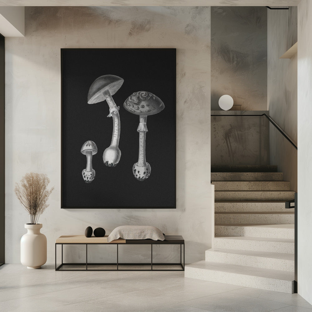 Amanita Muscaria  Black Backgound BW | Poster