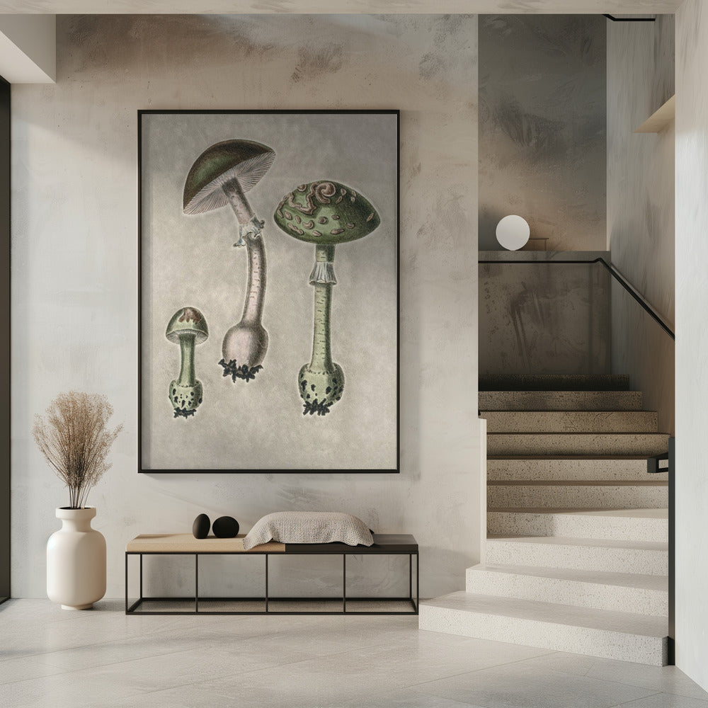 Amanita Muscaria Remix Green | Poster