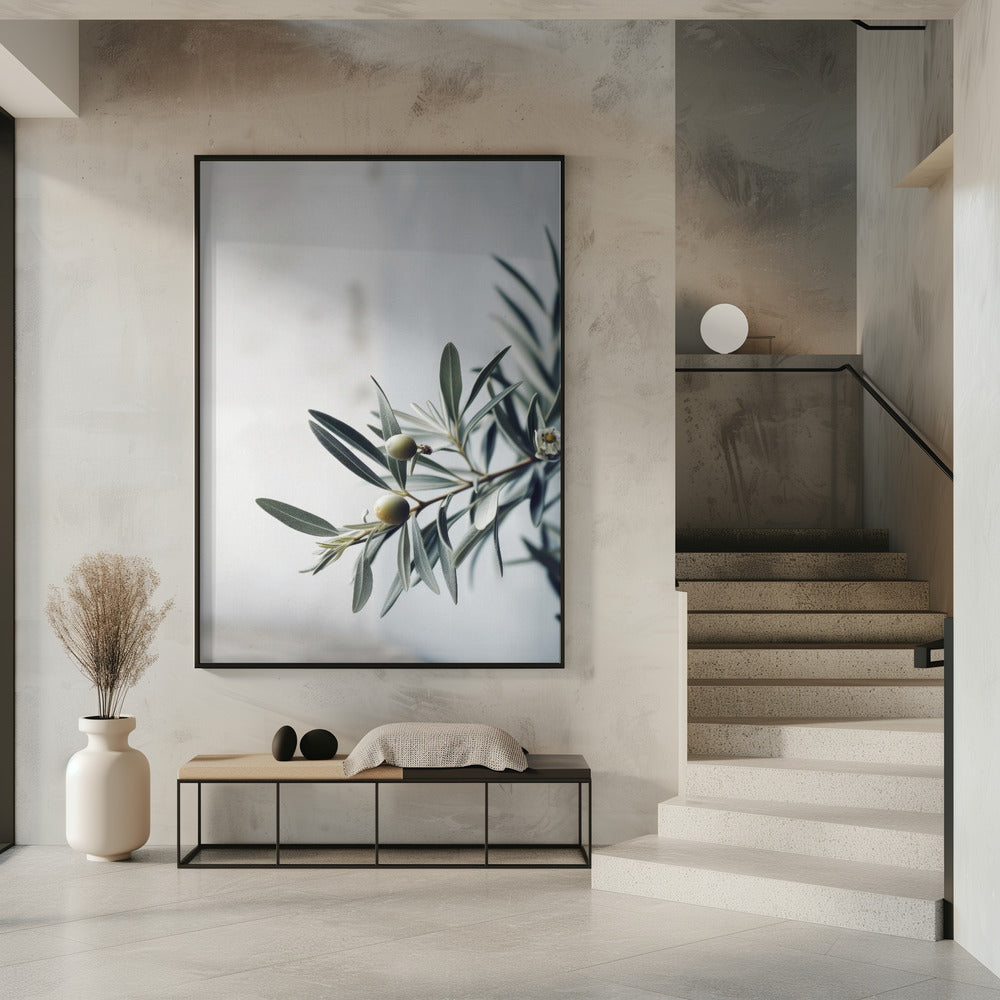 Olive Serenity | Poster