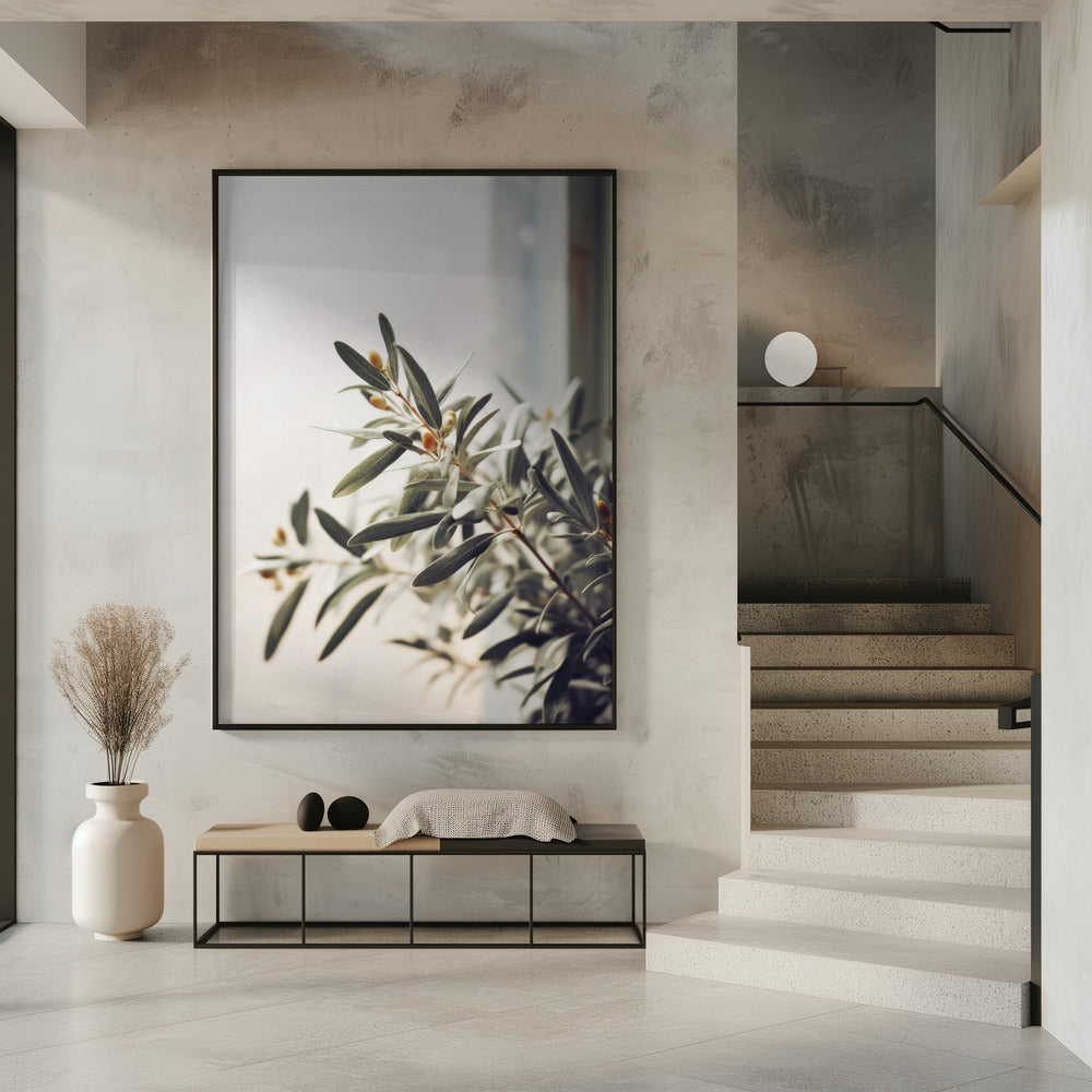 Olive Branch Light | Poster