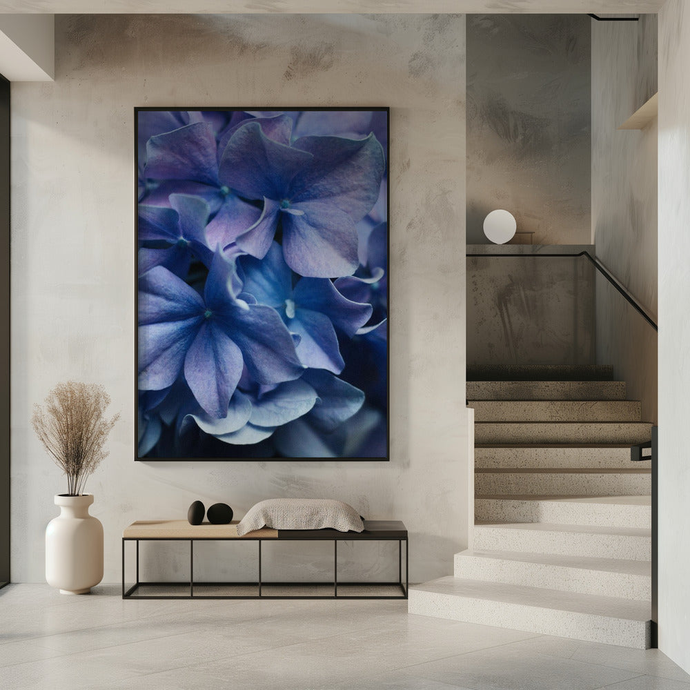 Vibrant Purple Hydrangea Flowers | Poster