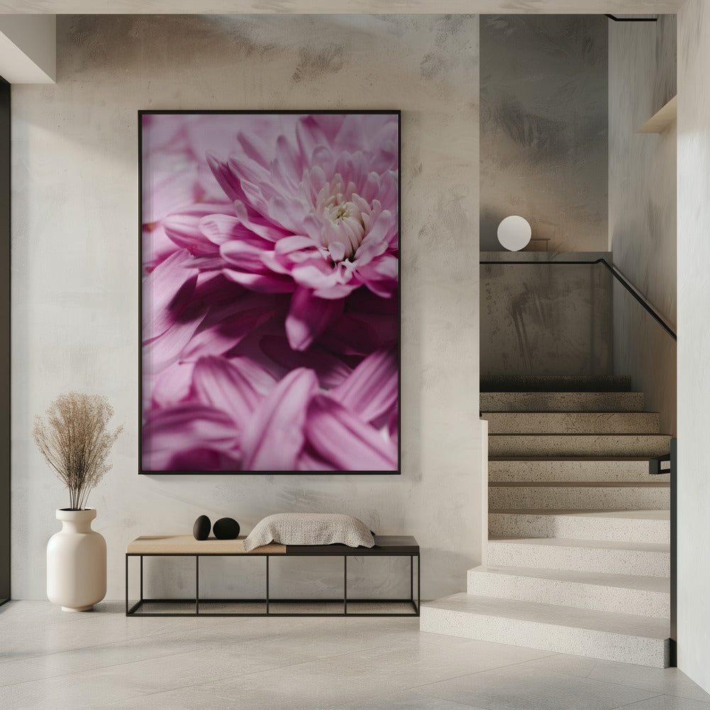 Pink Petal Symphony | Poster