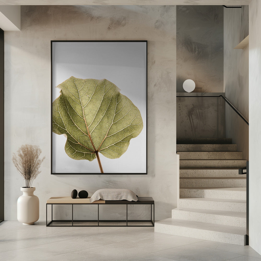 Leaf Vein Symphony | Poster