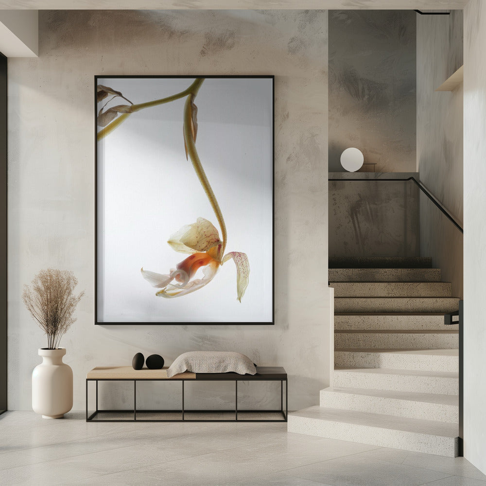 Elegant Decay | Poster