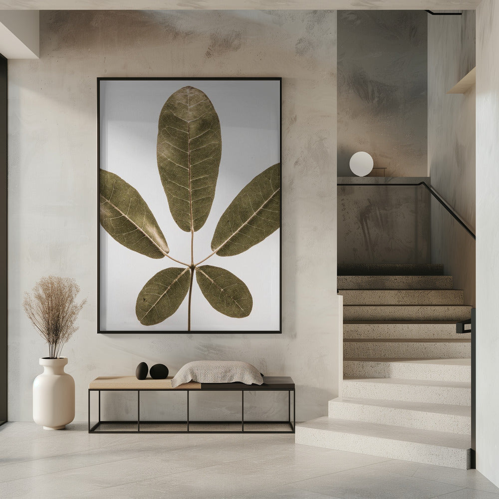 Five Leaf Harmony | Poster