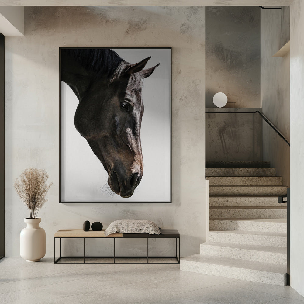Gentle Equine Gaze | Poster