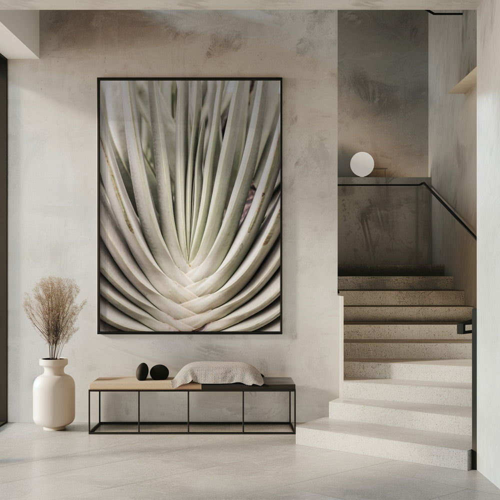 Desert Fan Dance | Poster