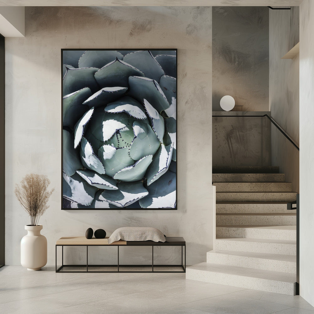 Agave Spiral Dance | Poster