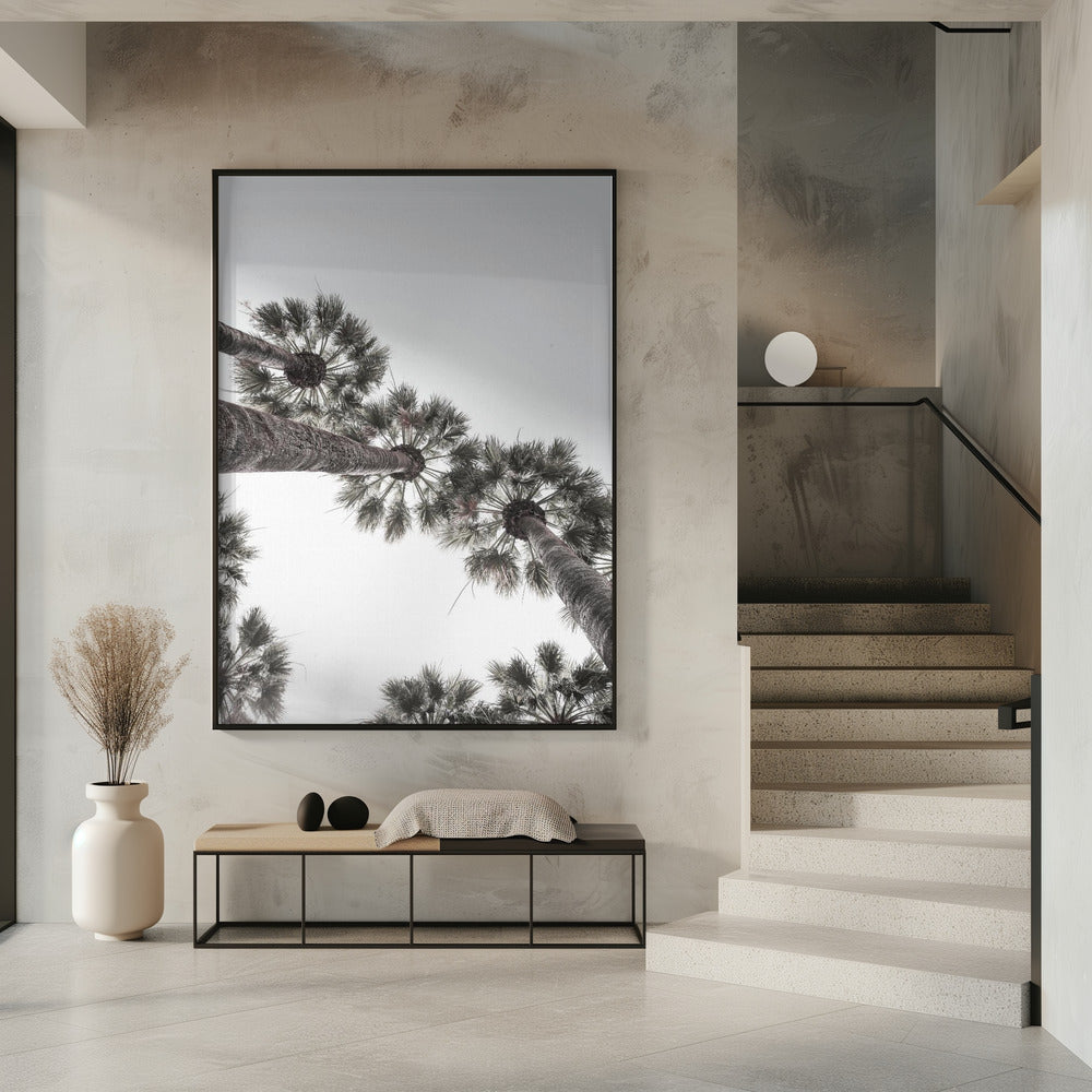 Skyward Palms | Poster