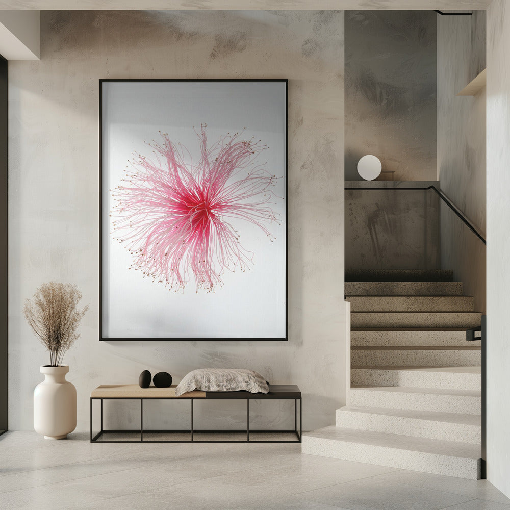 Floral Fireworks | Poster