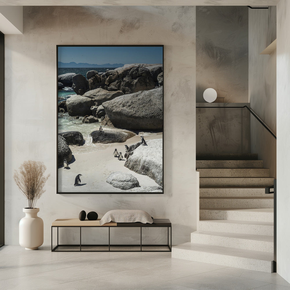 Penguin Cove Serenity | Poster