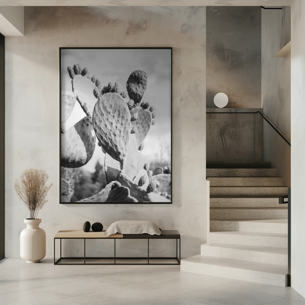 Desert Serenity | Poster