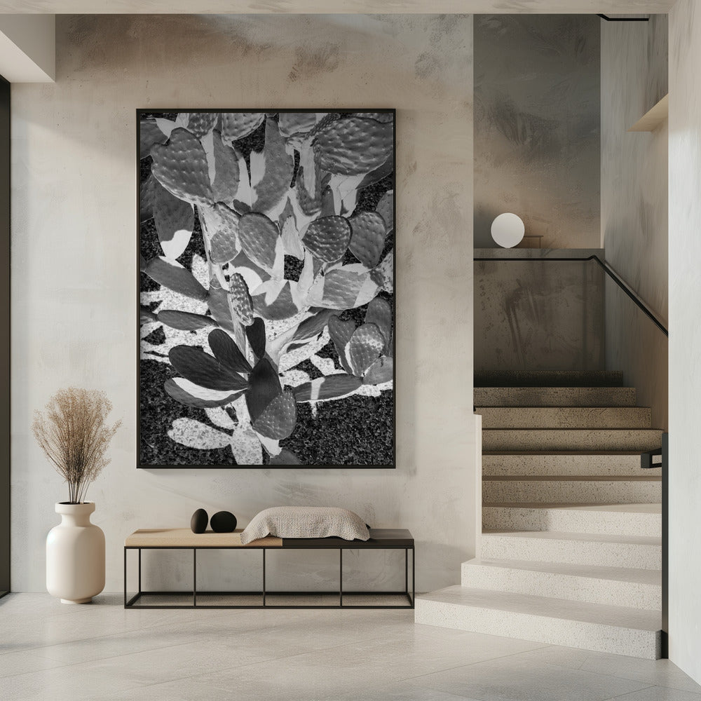 Prickly Patterns | Poster