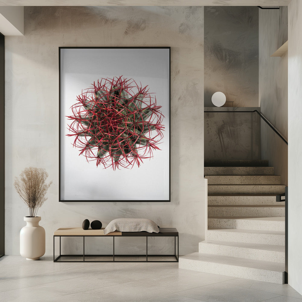 Crimson Cactus Crown | Poster