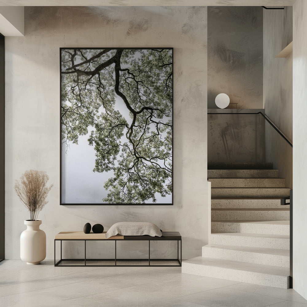 Ethereal Canopy | Poster