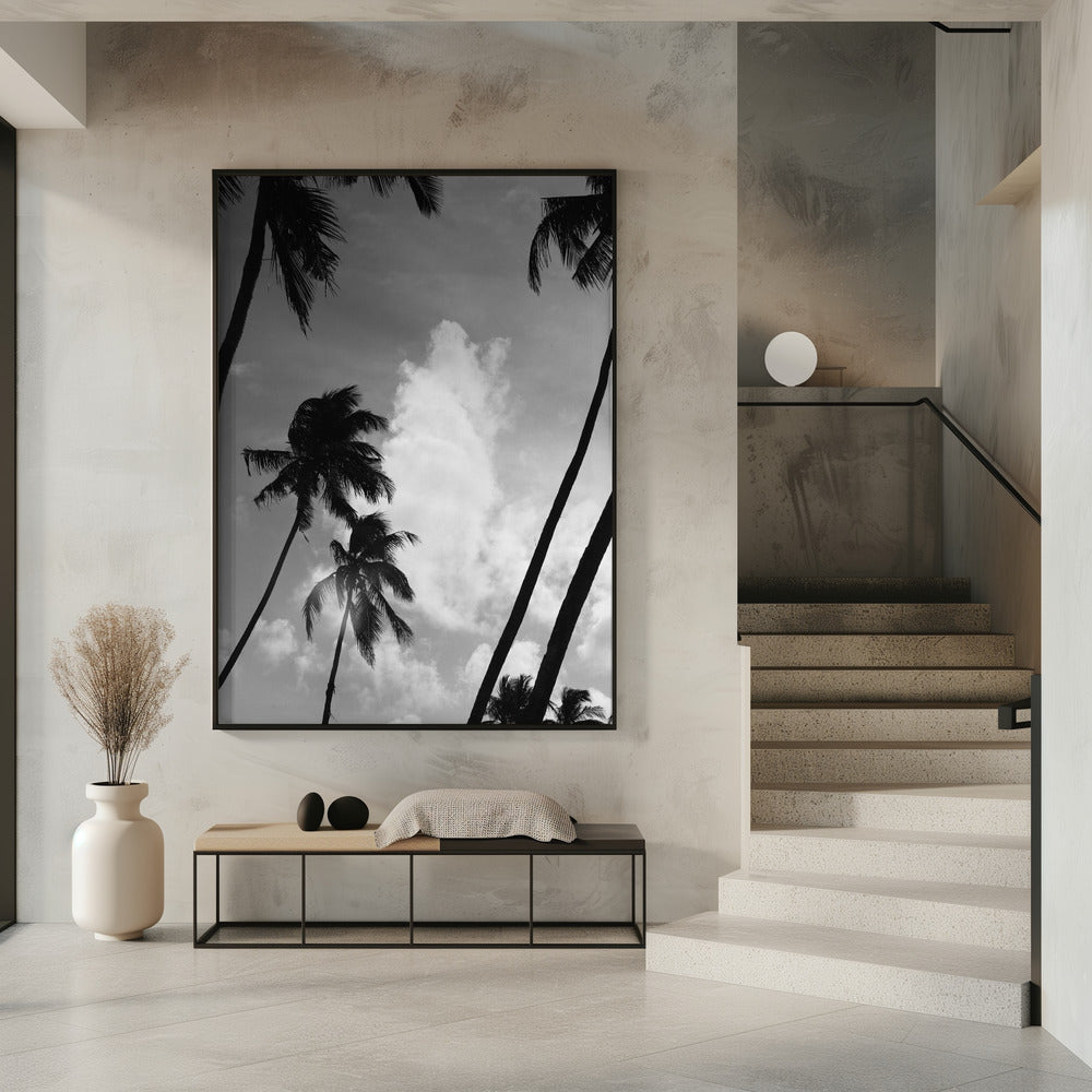 Silhouetted Palms | Poster