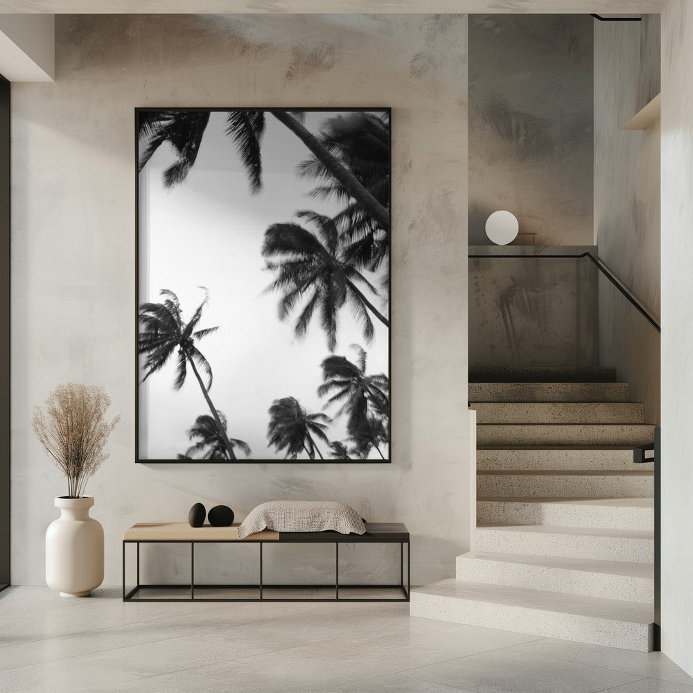 Swaying Palms | Poster