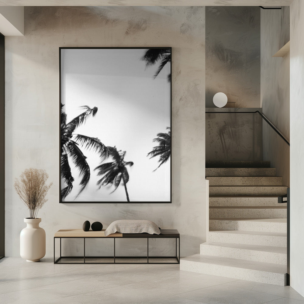 Swaying Palms | Poster