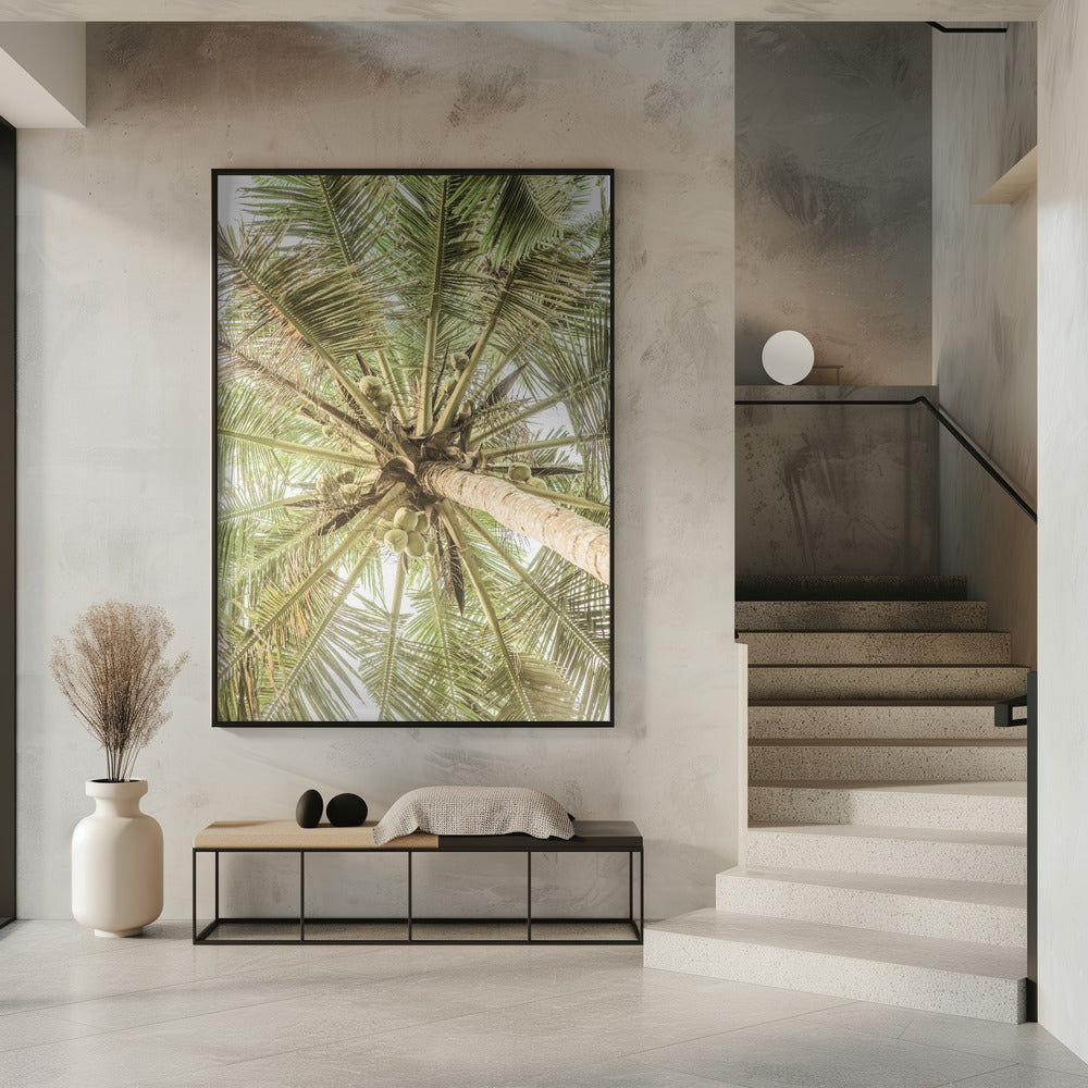 Coconut Canopy | Poster