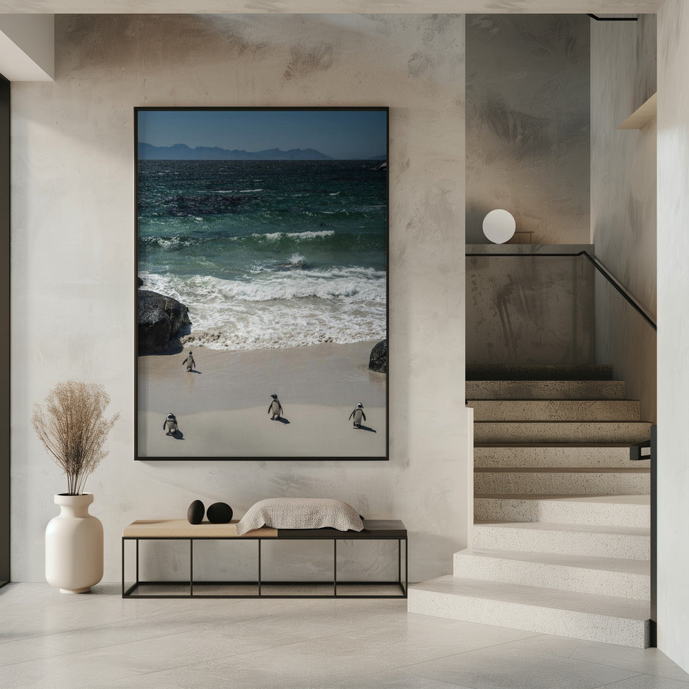 Penguin Beach Stroll | Poster