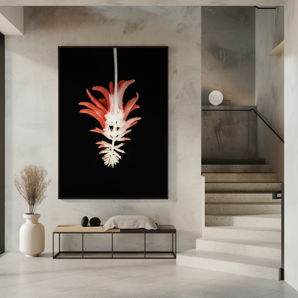 Petal Skeleton Fusion | Poster