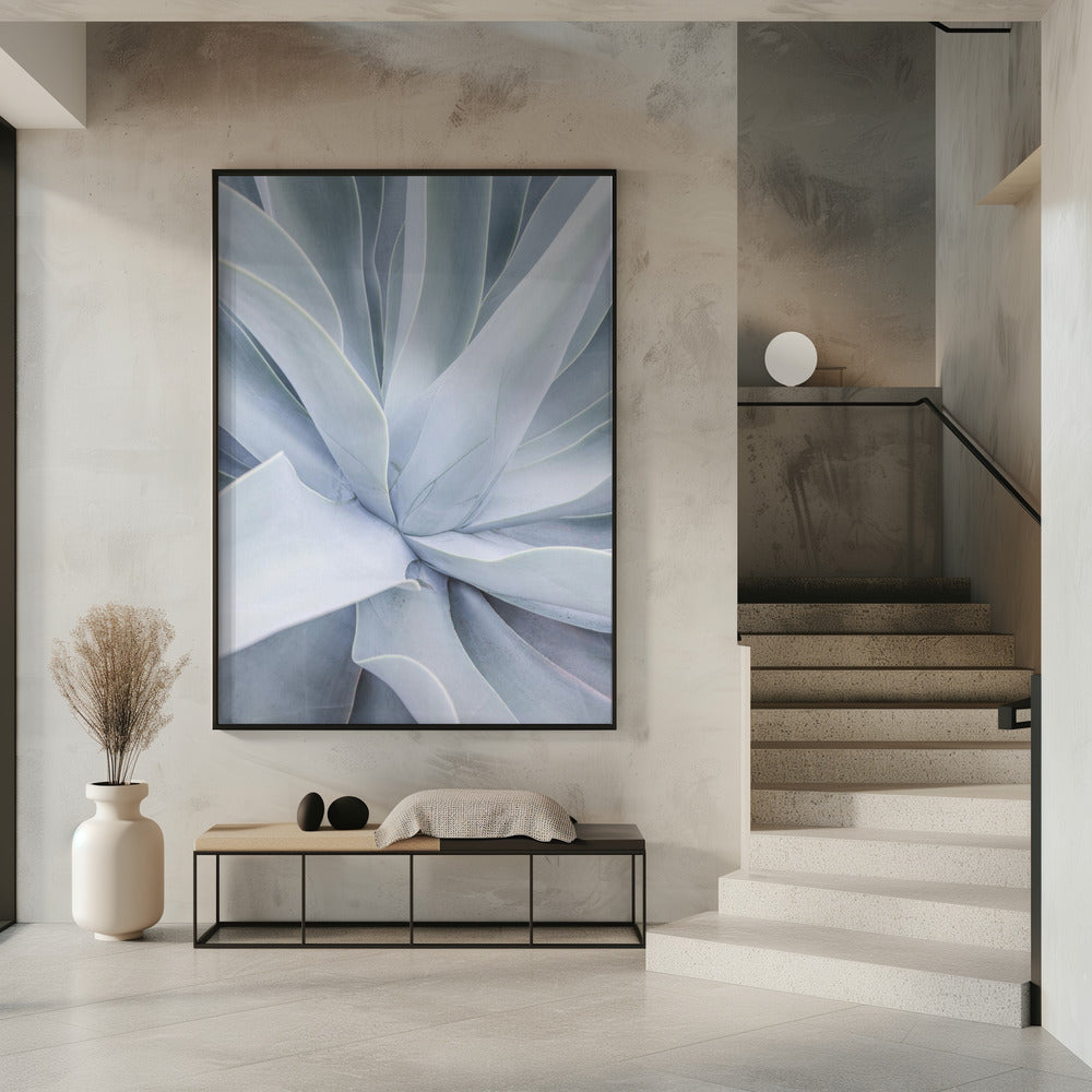 Silver Succulent Swirl | Poster