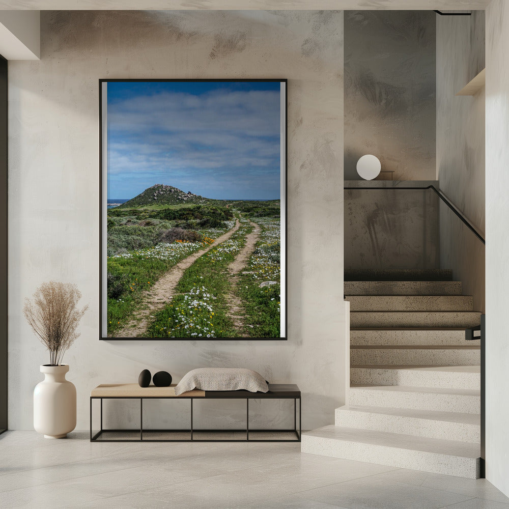 Pathway to Serenity | Poster