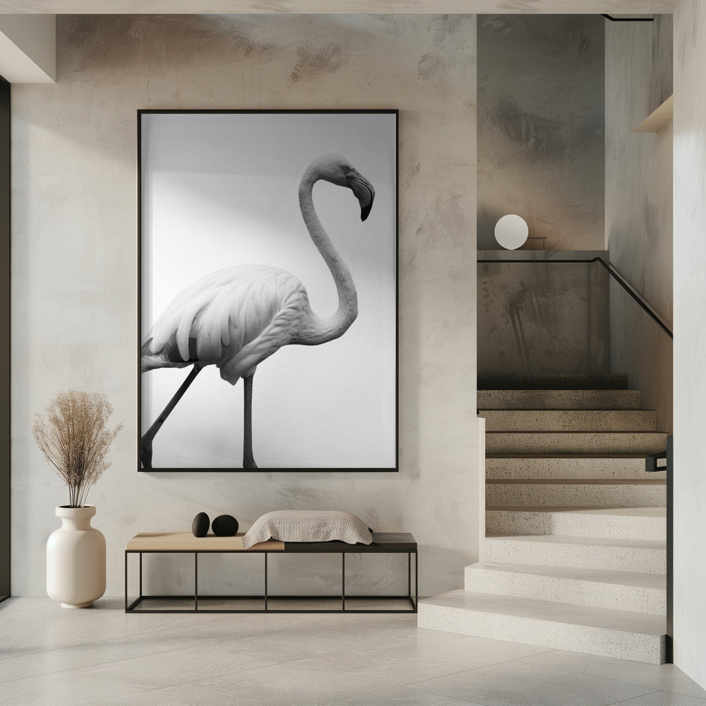 Graceful Silhouette | Poster