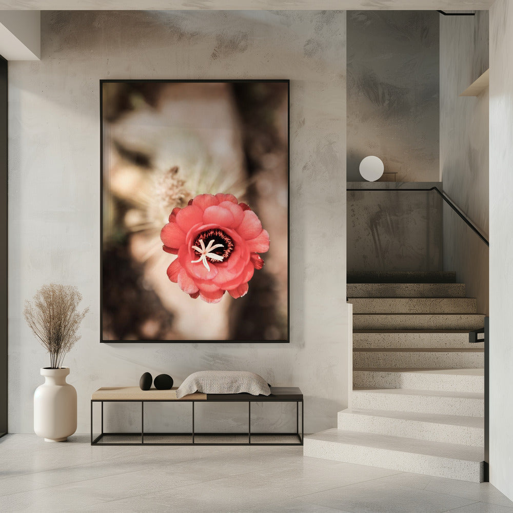 Desert Bloom Dance | Poster