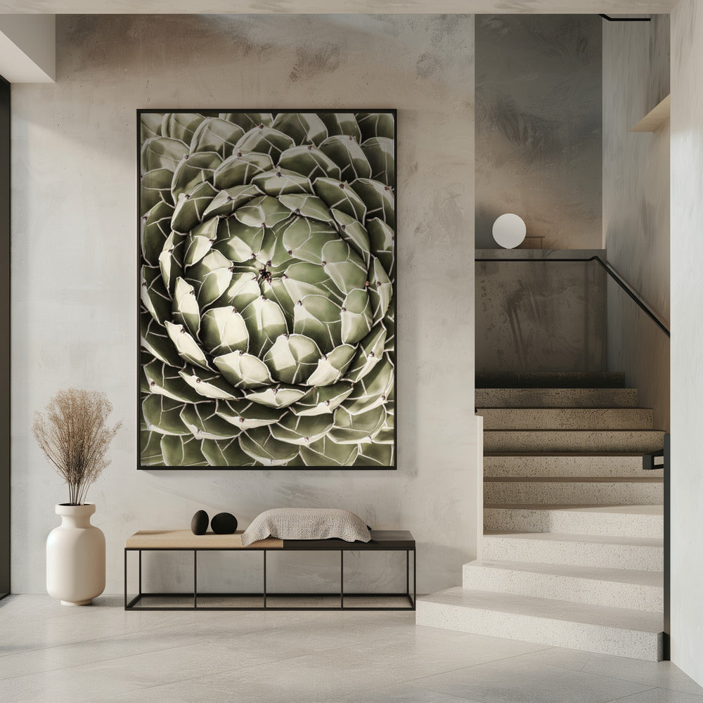 Geometric Succulent | Poster