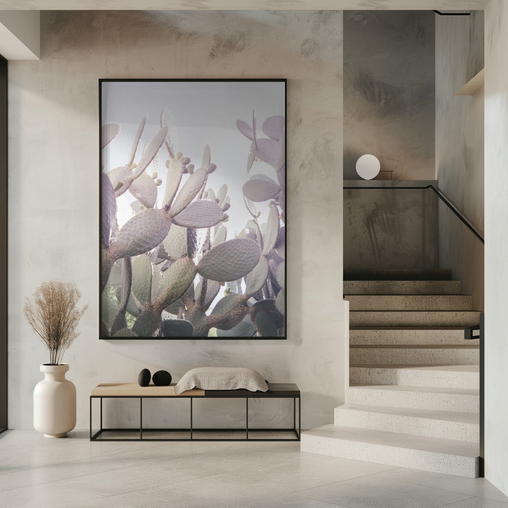 Prickly Serenity | Poster