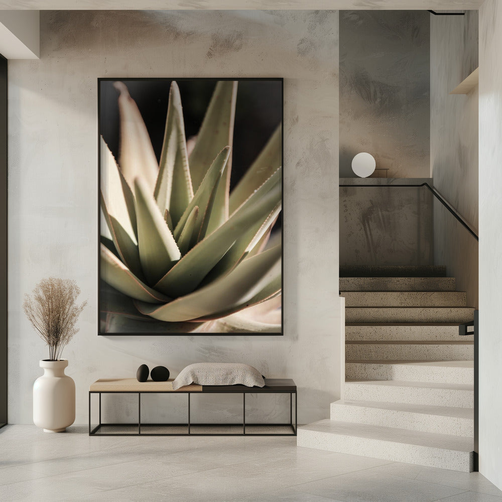 Sunlit Succulent | Poster