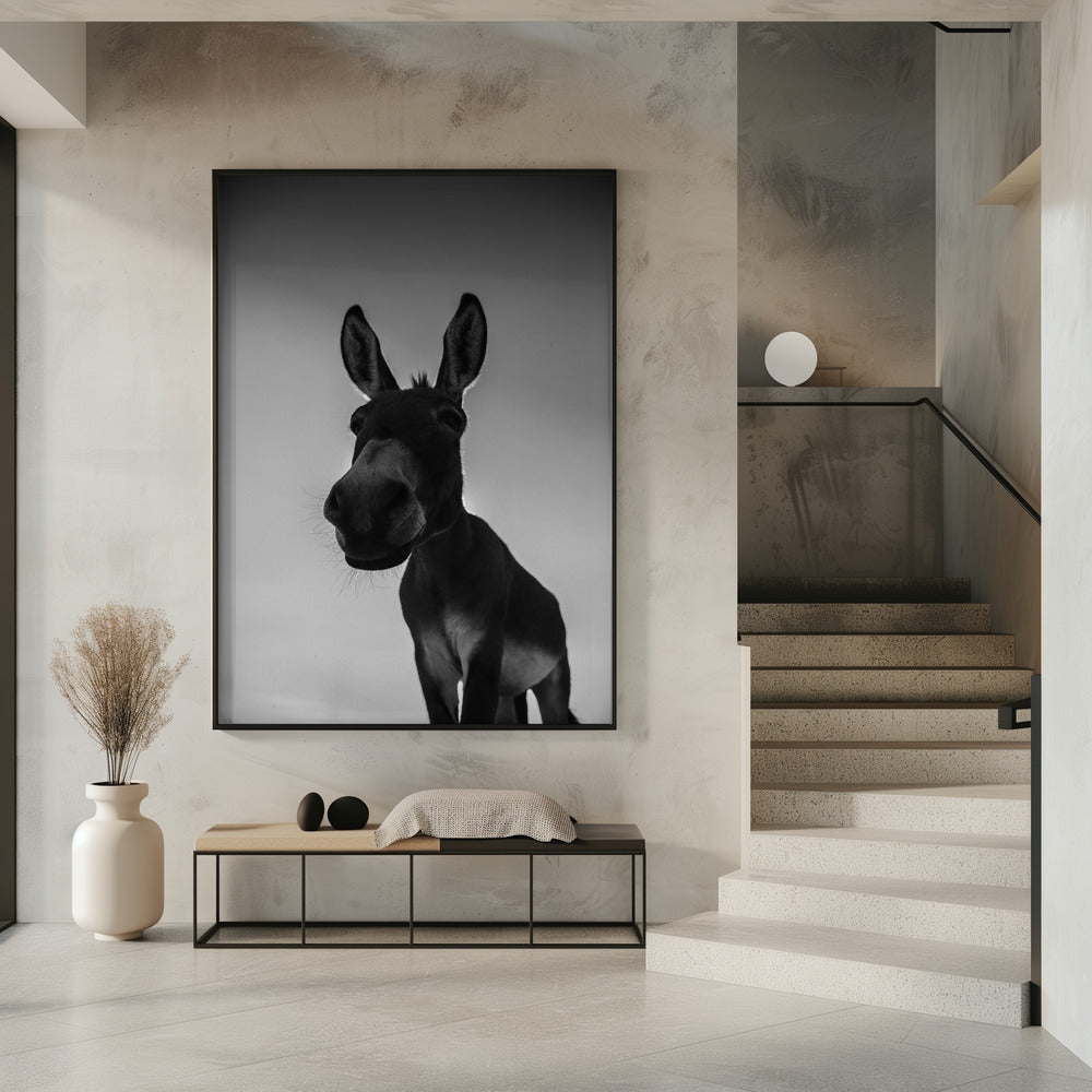 Curious Donkey Gaze | Poster