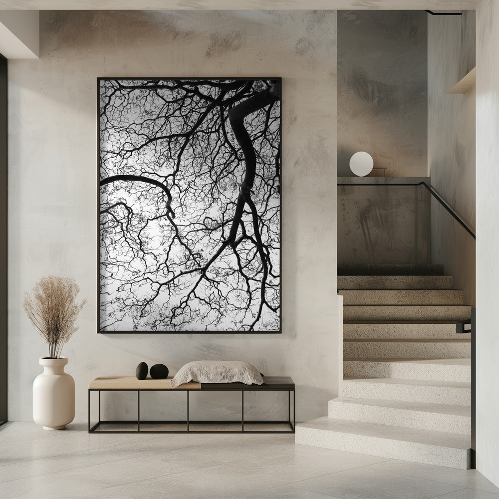 Branches&#039; Dance | Poster